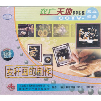 麦秆画的制作(VCD) - 艺术 - 教育音像 - 